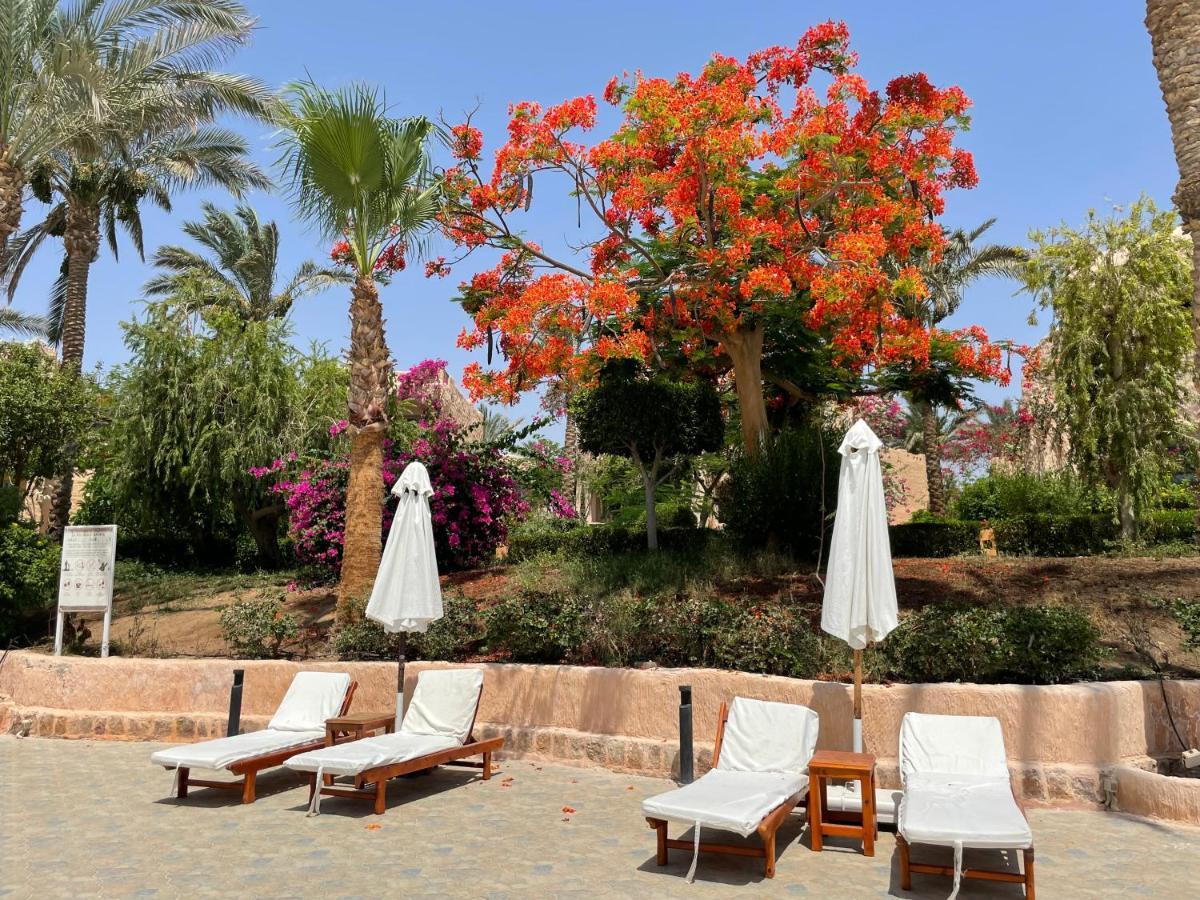 Blue Lagoon View Resort & Spa Marsza Alam Kültér fotó